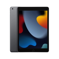 Compare Apple iPad Air M4, 13 Inch,  256GB, WiFi  Space Grey at KSA Price