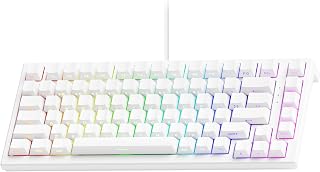 Compare Akko TAC75 Rapid Trigger Gaming Keyboard Wired HE Keyboard Shine Through White, Glare Magnetic Switch at KSA Price