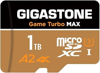 [5 Years Free Data Recovery] GIGASTONE 1TB Memory…