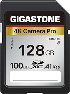 Gigastone 128GB SD Card V30 SDXC Memory Card…