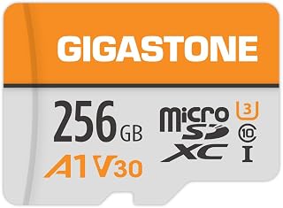GIGASTONE 256GB Micro SD Card, A1 V30 4K…