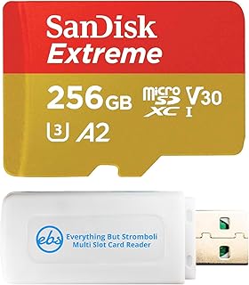 Everything But Stromboli SanDisk 256GB Extreme…