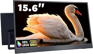 Portable Monitor, IPS Display 1080P FHD 100Hz,…
