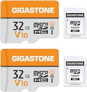 GIGASTONE 32GB Micro SD Card 2-Pack, V10 Video…