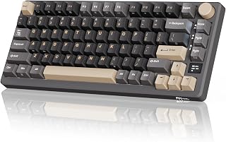 RK ROYAL KLUDGE M75 Wireless Mechanical Keyboard…