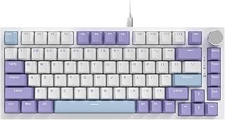 Compare Lomiluskr AJAZZ AK820 75% Wired RGB Gasket Mechanical Keyboard with Volume Knob, Compact 82 Keys HotSwap Keyboard, OME Profile PBT Keycap, Detachable TypeC Cable Purple&Blue at KSA Price