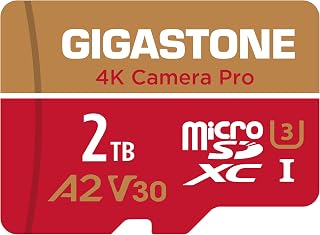 5-Years Data Recovery GIGASTONE 2TB Micro SD…