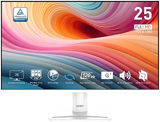 MSI PRO MP251W E2 24.5-inch IPS 1920 x…