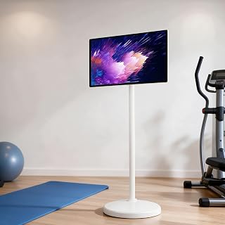 Movable Touchscreen Portable TV 21.5"