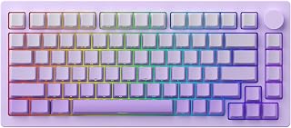 Compare monsgeek M1W HE V3 Mechanical Keyboard Purple with Akko Cream Yellow Magnetic Switch at KSA Price
