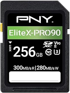Compare PNY 256GB XPRO 90 Class 10 U3 V90 UHSII SD Flash Memory Card at KSA Price
