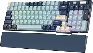 RK ROYAL KLUDGE RK96 RGB Limited Edition, 96…
