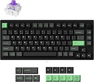Compare LEMOKEY P1 HE 75% Wireless Custom Mechanical Gaming Keyboard with Gateron DoubleRail Magnetic Switches Full Assembled Knob Version  Black at KSA Price