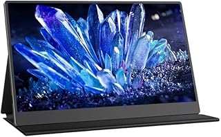Travel Monitor 15.6 Inch 1920 * 1080 60Hz Office…