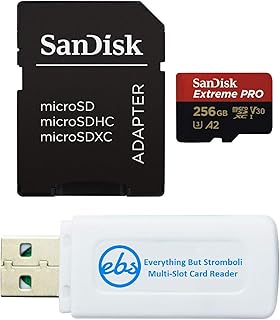 Everything But Stromboli SanDisk Extreme Pro…