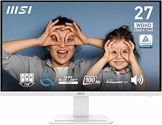 MSI PRO MP273QW E2 27" WQHD Desktop…