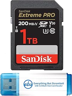 Everything But Stromboli Sandisk SD Extreme…