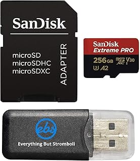 Everything But Stromboli SanDisk 256GB Extreme…
