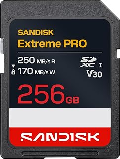 SANDISK 256GB Extreme PRO SD UHS-I Card -…