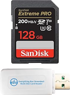 Everything But Stromboli SanDisk 128GB SD Extreme…
