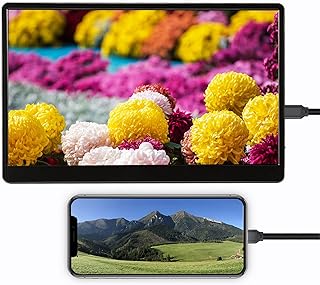 Compare Portable Monitor 15.6 Inch Full HD Computer Display USB C Dual Monitor FHD 1080P IPS 6800K with 178° Full Viewing Angle Support HDR, Ultra Slim Monitor for Laptop PC Switch PSUK at KSA Price