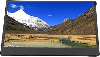 13.3 Inch Monitor, Full View Angle IPS LCD Screen…