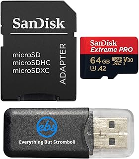 Everything But Stromboli SanDisk UHS-I 64GB Memory…