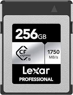 Lexar Professional SILVER Series 256GB CFexpress Card,…