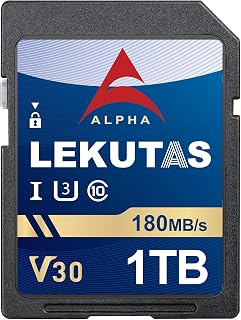 Compare 1T999GB Class 10 UHSI V30 Memory Card, Up to 180MBs Read Speed at KSA Price