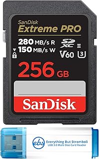 Everything But Stromboli SanDisk 256GB Extreme…