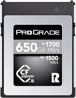 ProGrade Digital 650GB CFexpress Type B Memory…