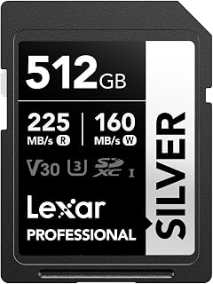 Lexar 512GB Professional Silver SDXC Memory Card,…