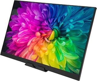 Denash 16 Inch Portable Monitor, Full HD 1920x1200…