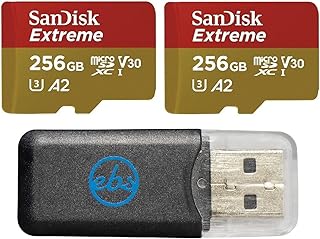 Everything But Stromboli SanDisk MicroSDXC 256GB…