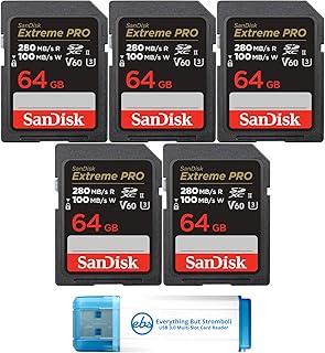 Everything But Stromboli SanDisk (5 Pack) SDXC…