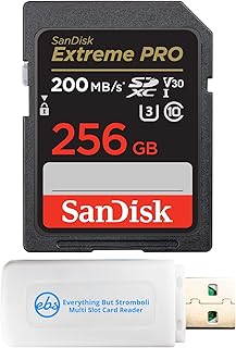 Everything But Stromboli SanDisk 256GB SDXC Extreme…