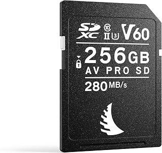 Compare Angelbird AV PRO SD V60 256 GB  SDXC UHSII Memory Card  up to 6K  for HighRes Photography, Continuous Shooting, and Light Video Production at KSA Price