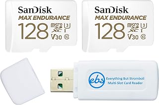 Everything But Stromboli SanDisk MAX Endurance…