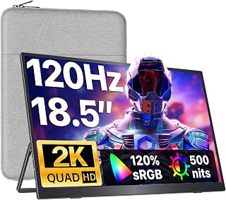 VisionOwl 18.5 Inch 2K QHD 120Hz Portable Monitor,…