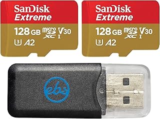 Everything But Stromboli SanDisk 128GB Extreme…