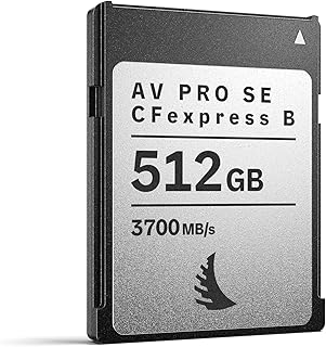 Compare Angelbird  AV PRO SE CFexpress B 512 GB  CFexpress 4.0 Type B Memory Card  Largest Capacity and Ultra HighSpeed  for up to 12 K+ RAW Video and Photo Production at KSA Price