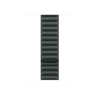 Compare Apple 41mm Evergreen Magnetic Link,ML at KSA Price
