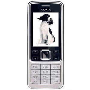 Compare Nokia 6300 at KSA Price