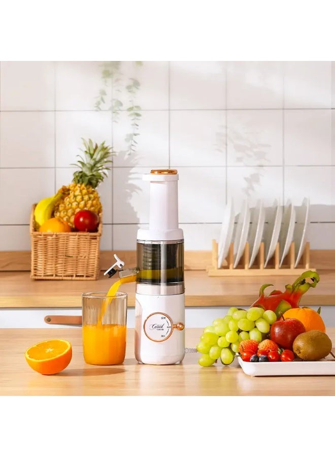 Slow Juicer Machine for Fruits and Vegetables,…