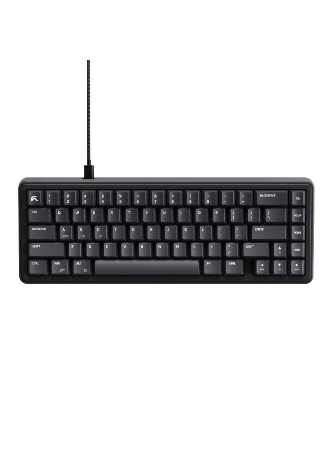 CYBEART | Akula 65 Lite - Compact 65%…