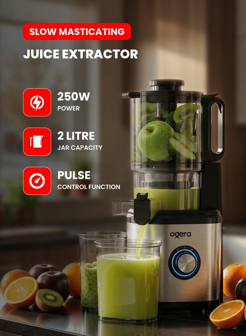 Slow Juicer 250W | Masticating Juicer Extractor…