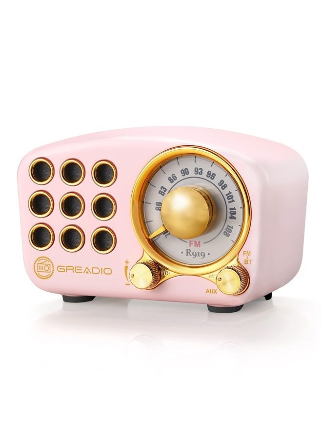Compare Retro Bluetooth Speaker, Vintage RadioGreadio FM Radio with Old Fashioned Classic Style, Strong Bass Enhancement, Loud Volume, Bluetooth 5.0 Wireless Connection, TF Card and MP3 Player Pink at KSA Price