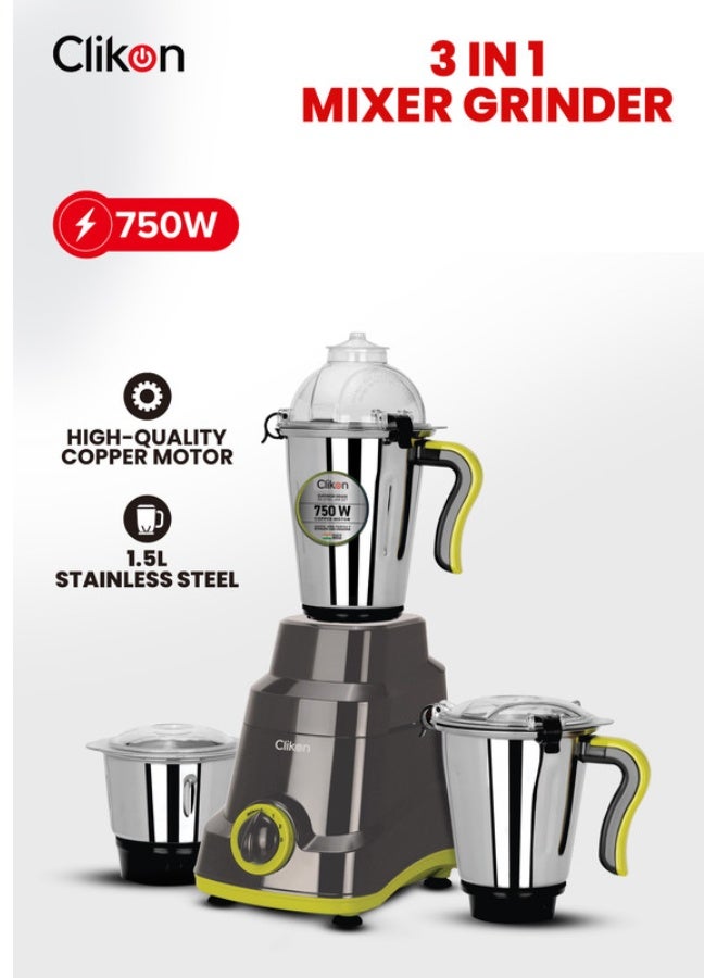 3-In-1 Mixer Grinder With Stainless Steel Jar And…