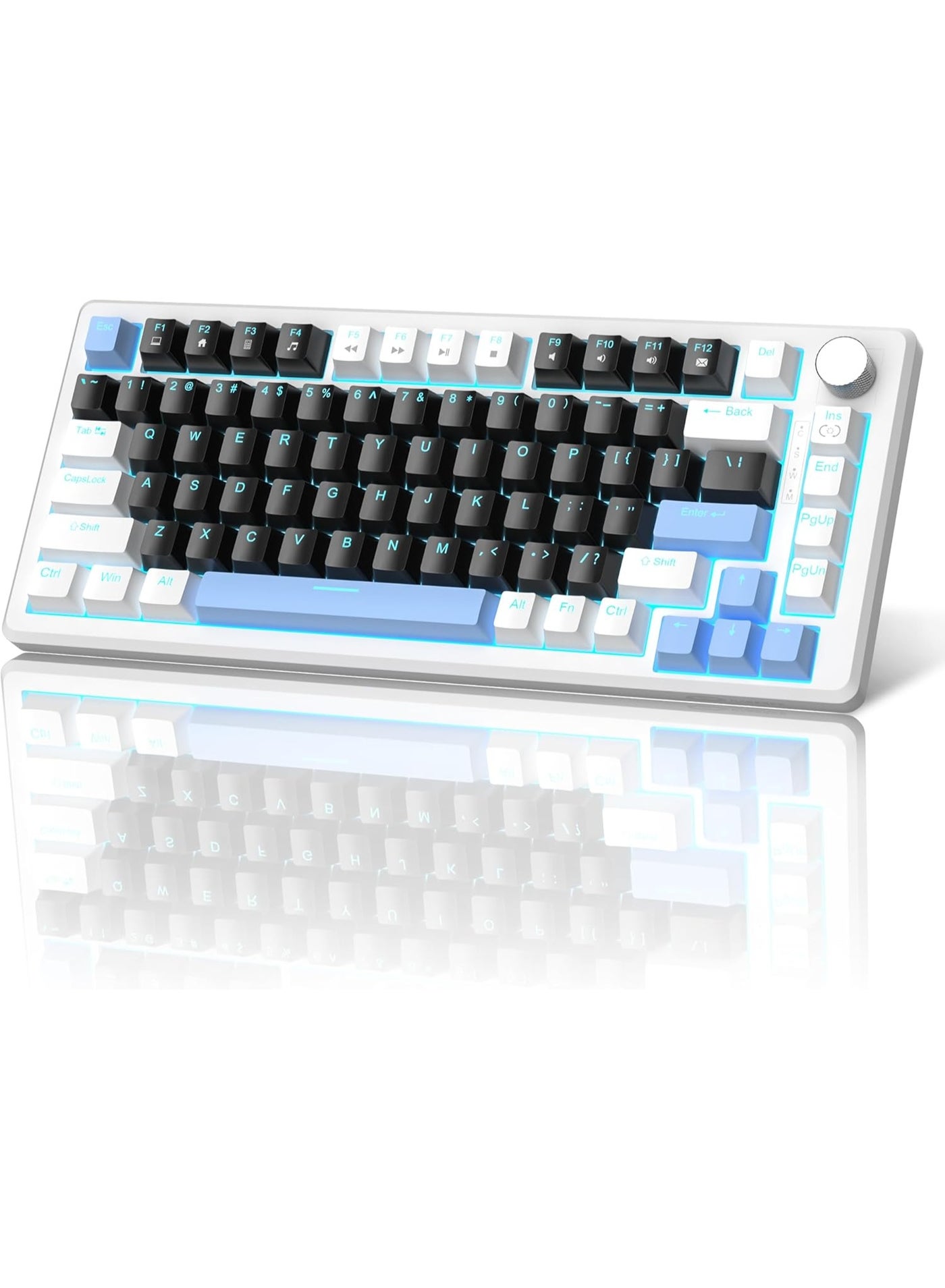 Compare MageGee 75% Mechanical Gaming Keyboard, Compact Blue Backlit Wired Gaming Keyboards with Black Switches, EVA Foam, Knob Control, STAR75 Portable NKRO PC Gaming Keyboard  Black & Blue at KSA Price