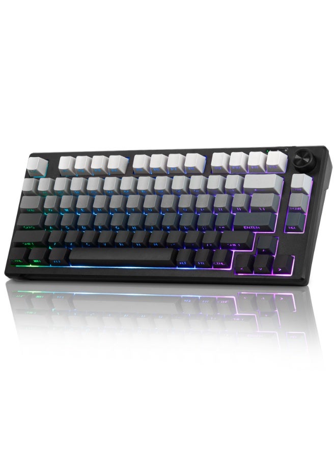 Compare IP81 Big Gaming Keyboard, 75% RGB Backlit Wired Keyboard Membrane Keyboard, Side Printed Waterproof 81 Keys Quite Keyboards with Number Pad Quick Response PBT Keycaps for WindowsMacOSAndroid PC Gamers  White and Black at KSA Price